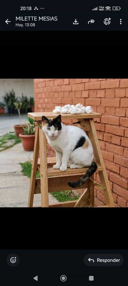 Foto de Pepa