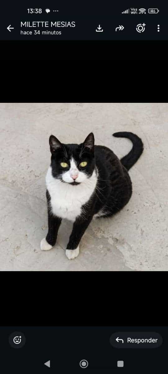 Foto de Cjanchita