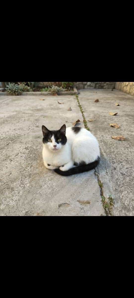 Foto de Carlita