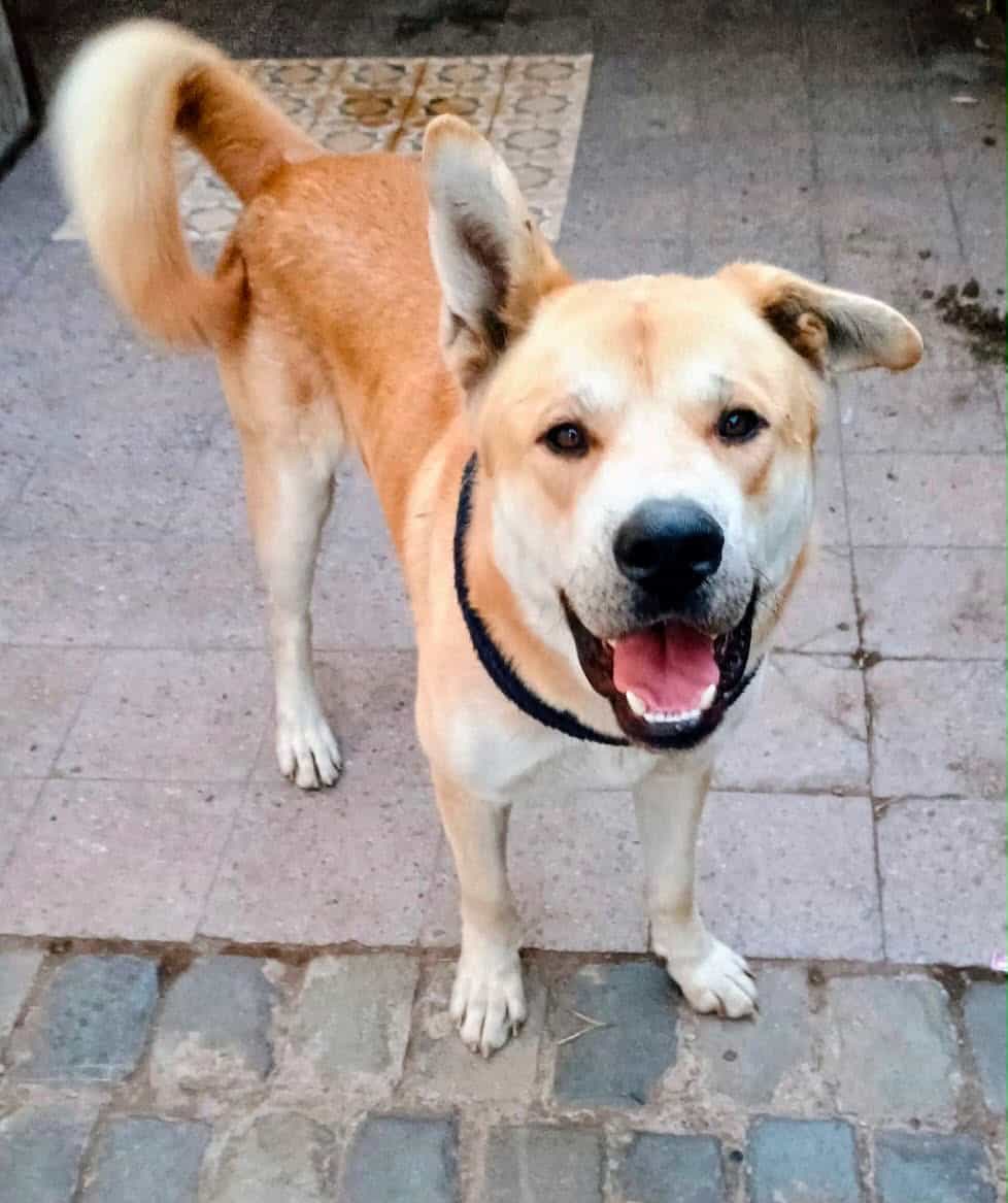 Foto de Huguito