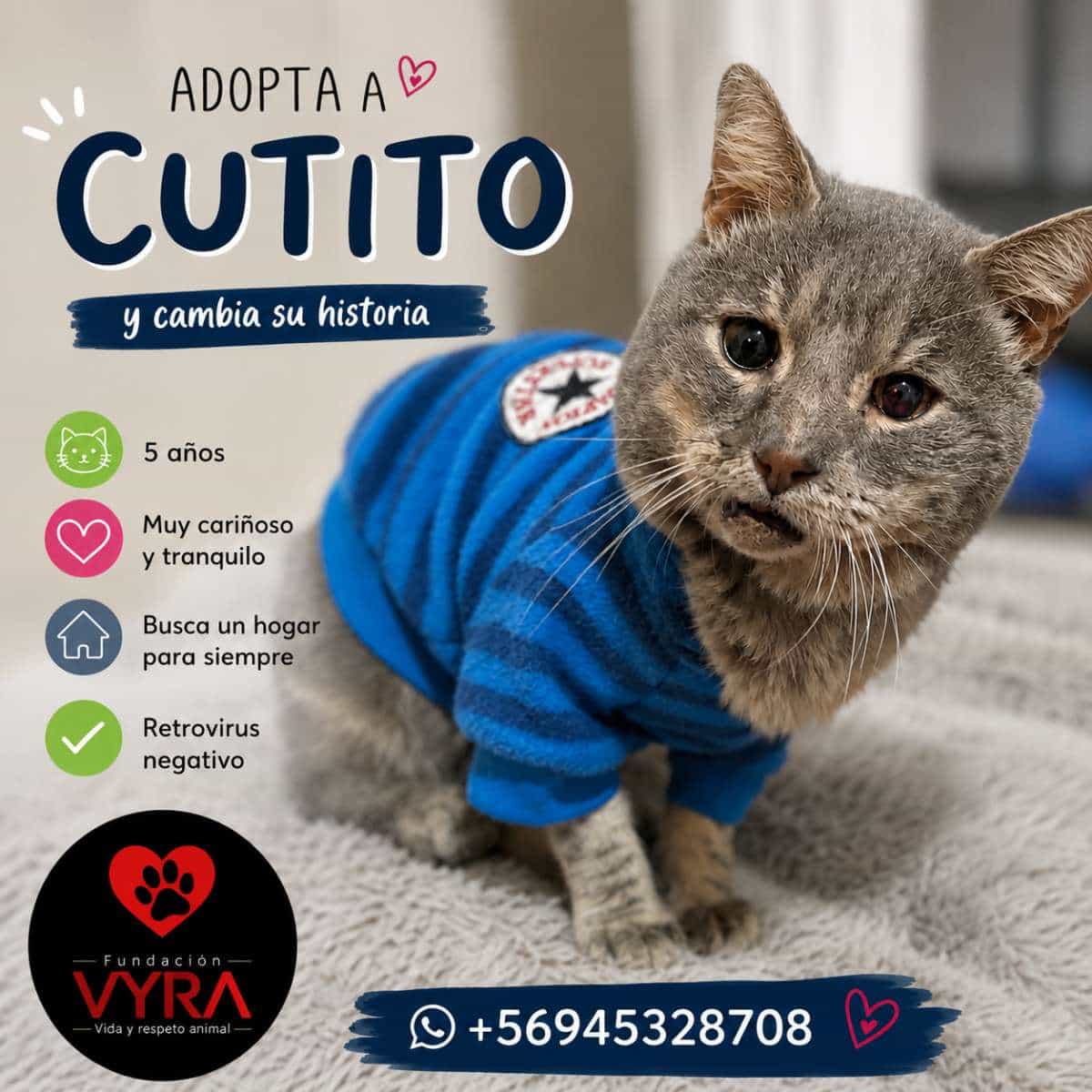 Foto de Cutito