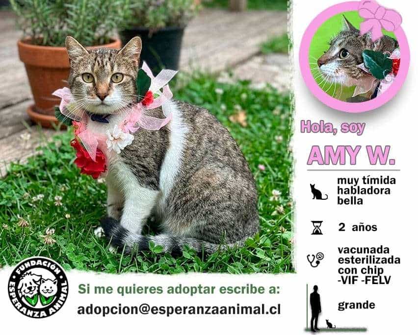 Foto de Amy W