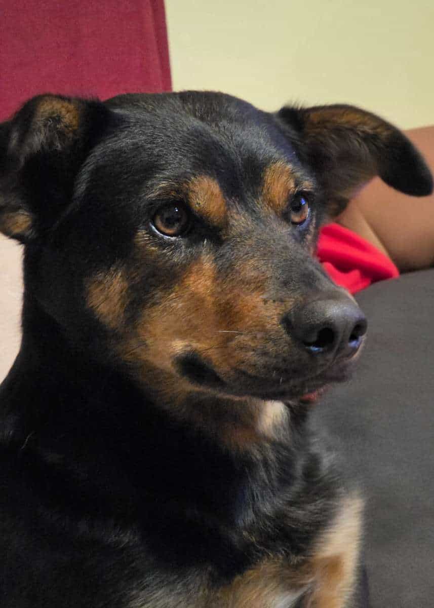 Foto de Ramona