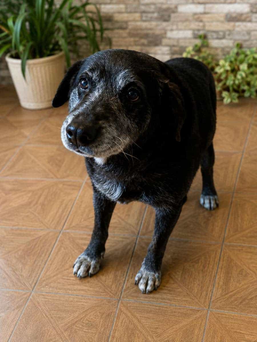 Foto de Nenito