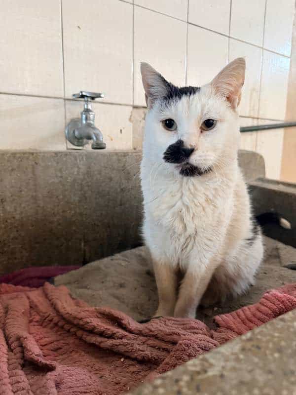 Foto de Banqui