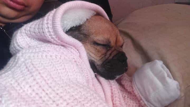 Foto de Elena