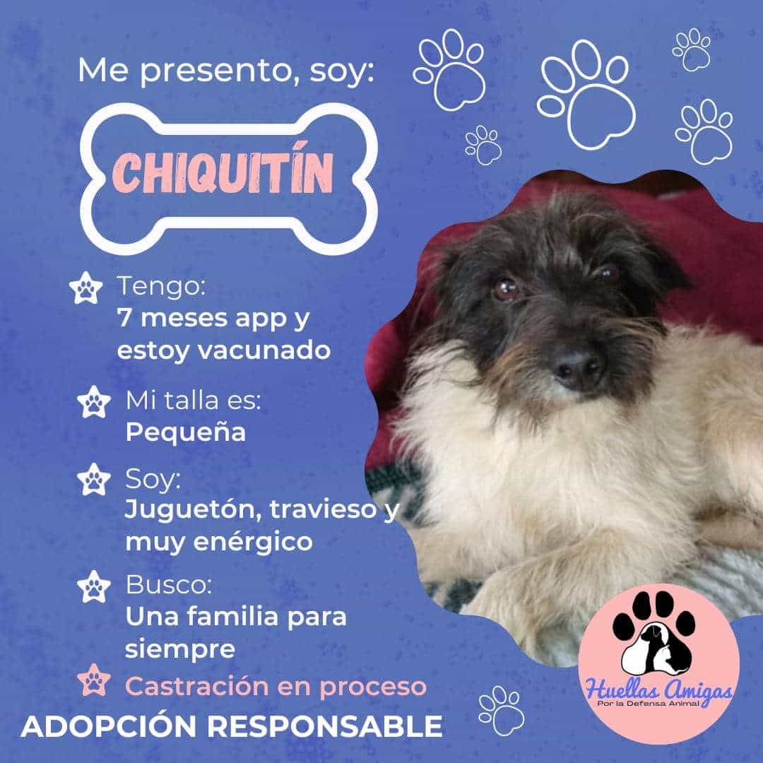 Foto de Chiquitin