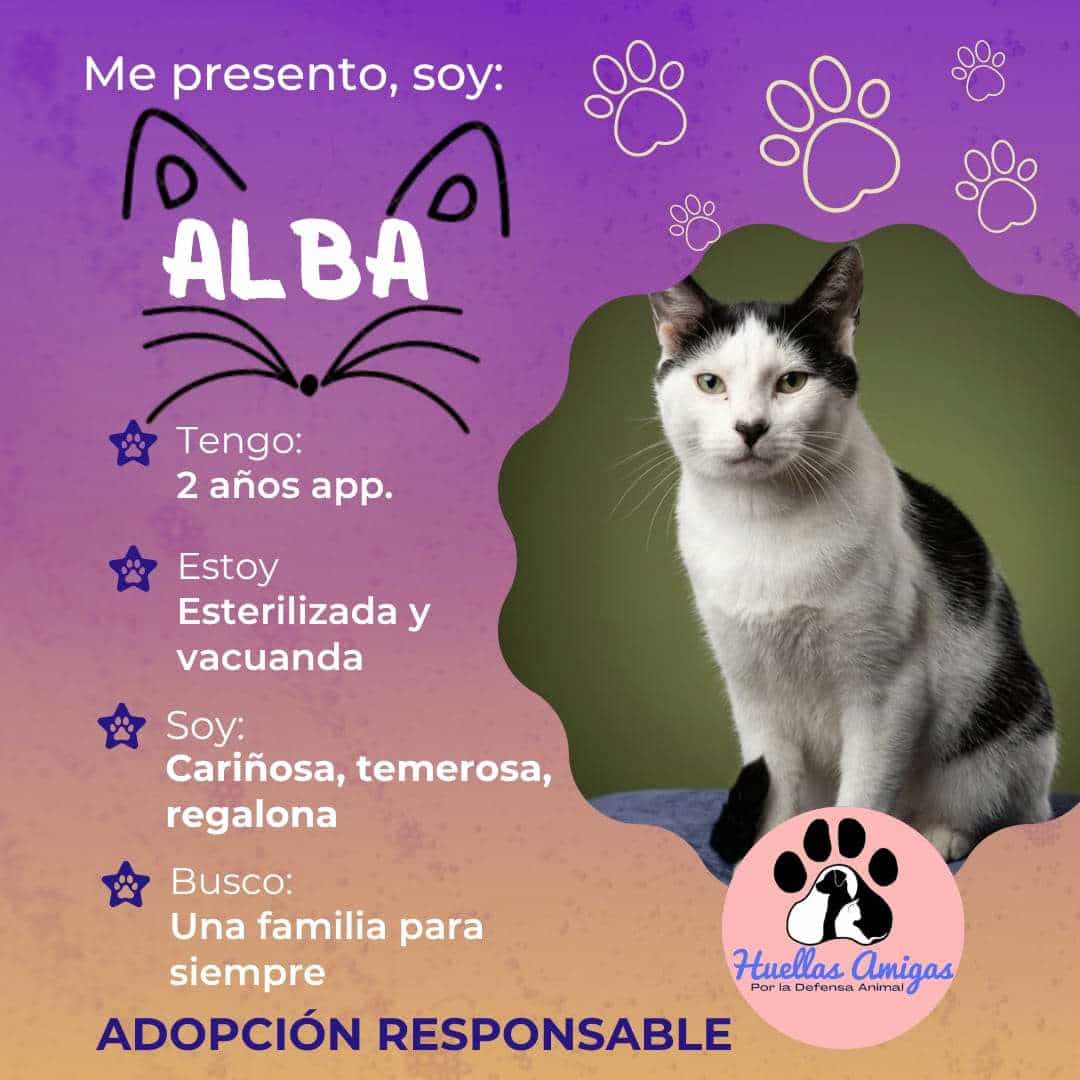 Foto de Alba