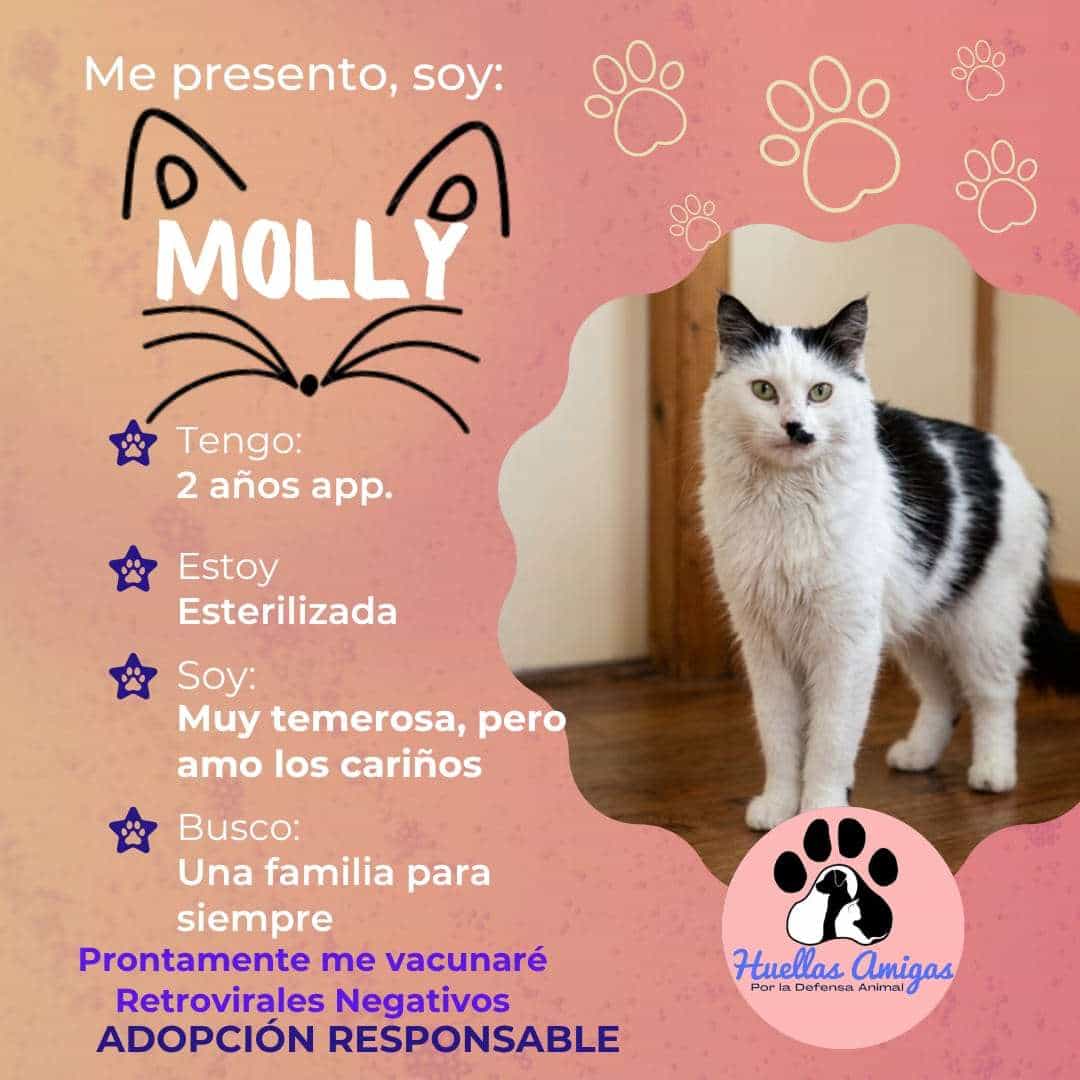 Foto de Molly