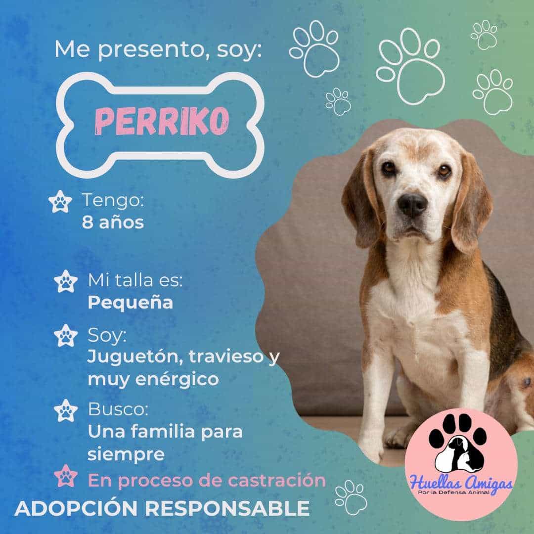 Foto de Perrico