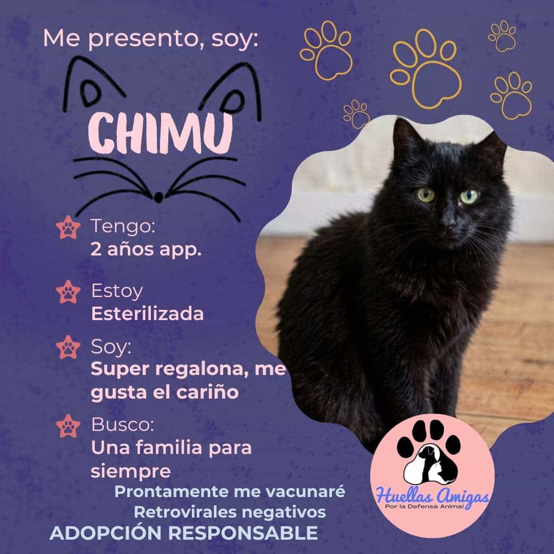 Foto de Chimu