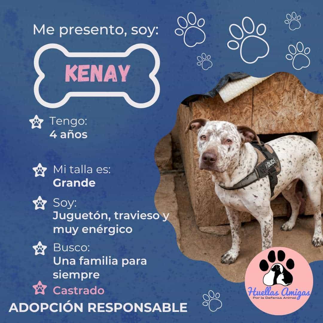 Foto de Kenay