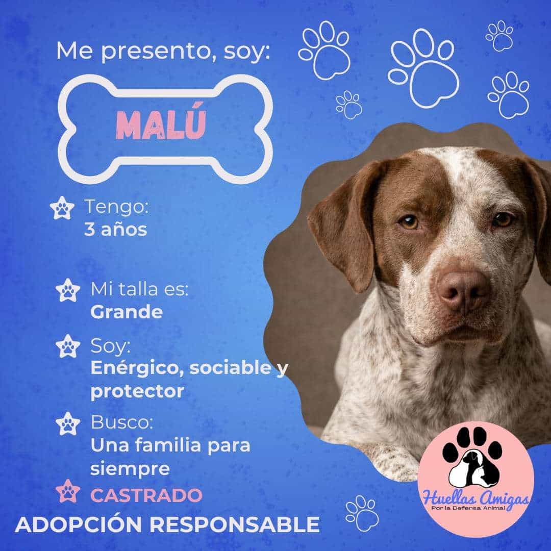 Foto de Malú