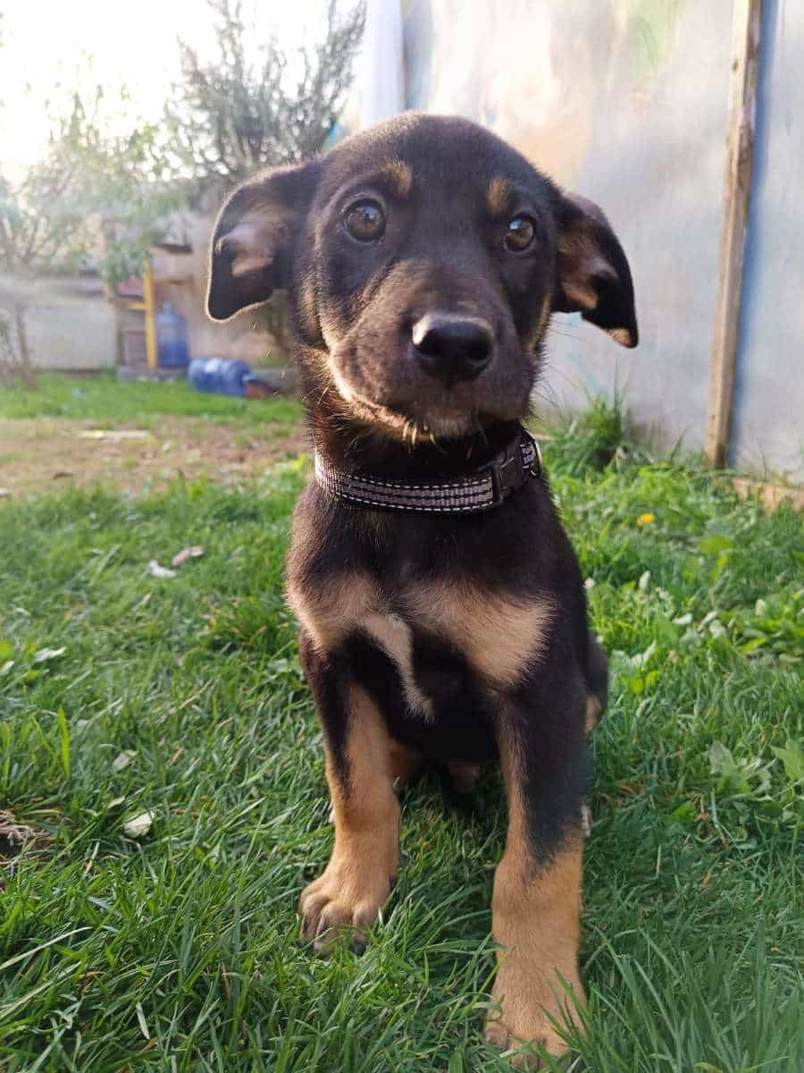 Foto de Balú