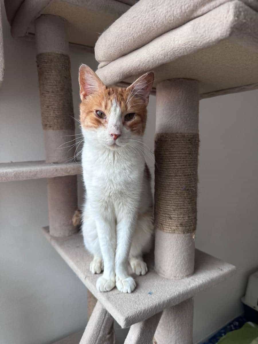 Foto de Gabriel