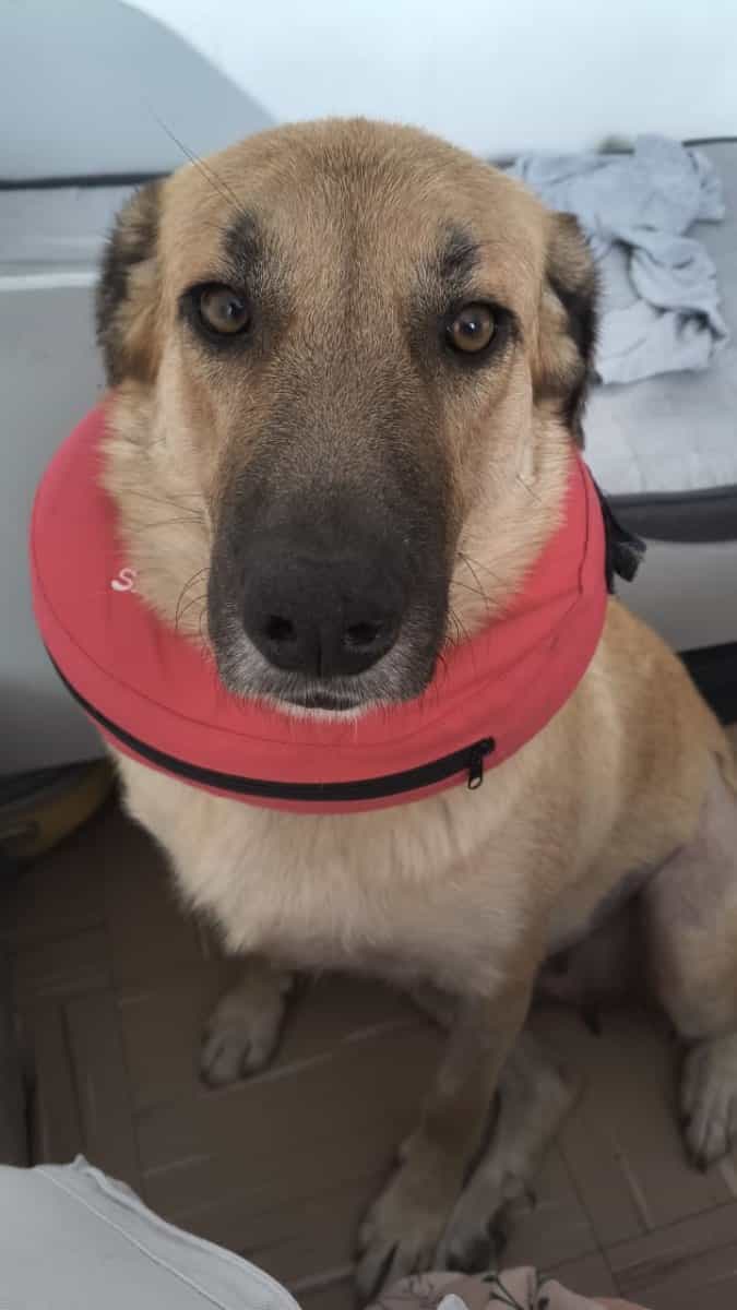 Foto de Martita