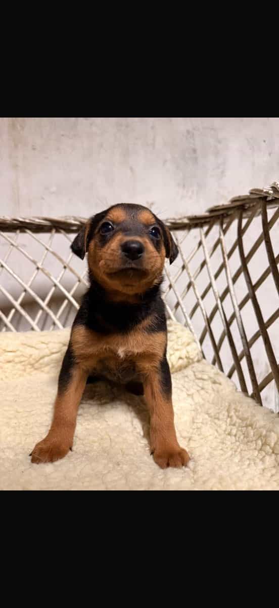 Foto de Lili