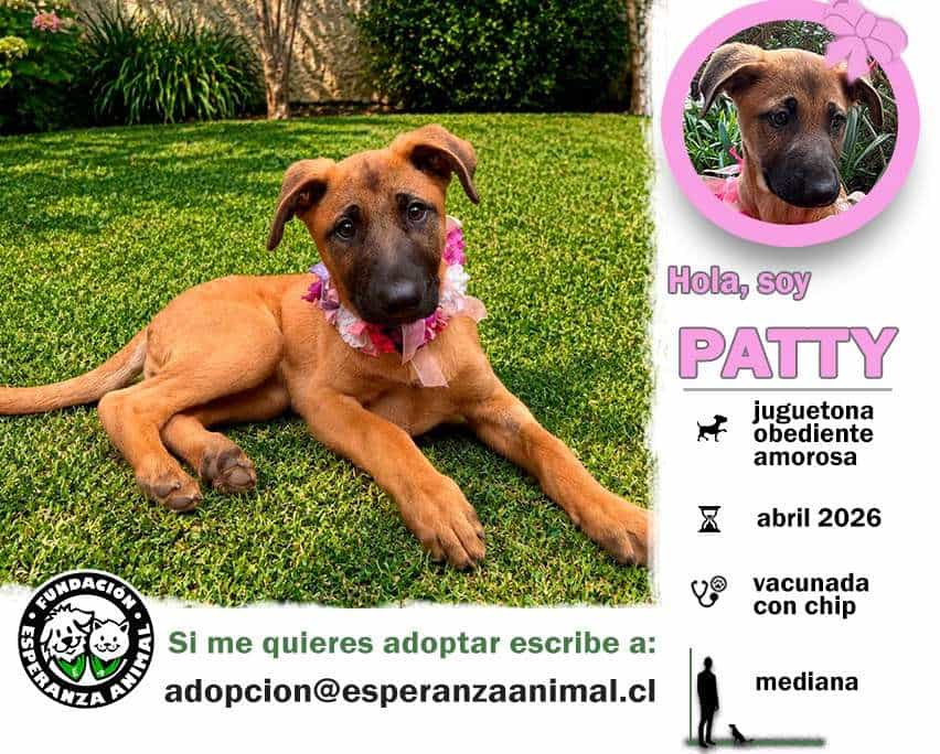 Foto de Patty