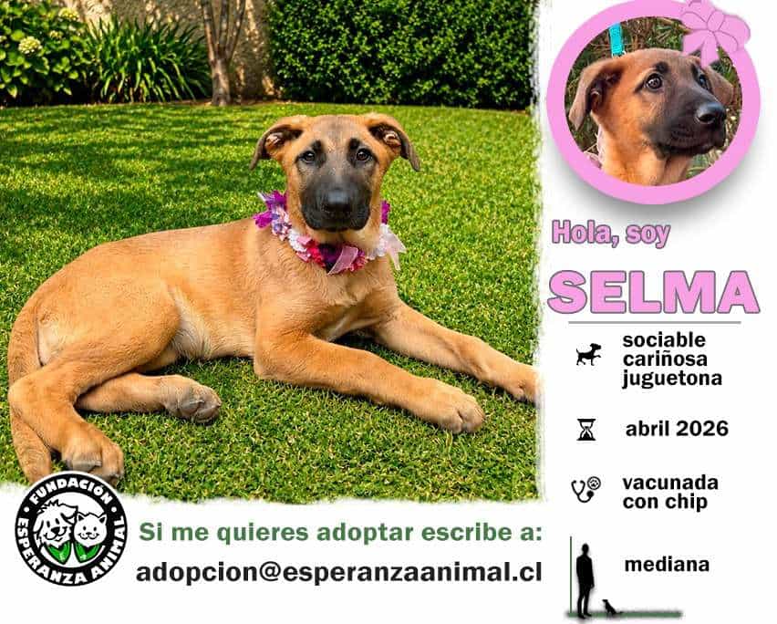 Foto de Selma