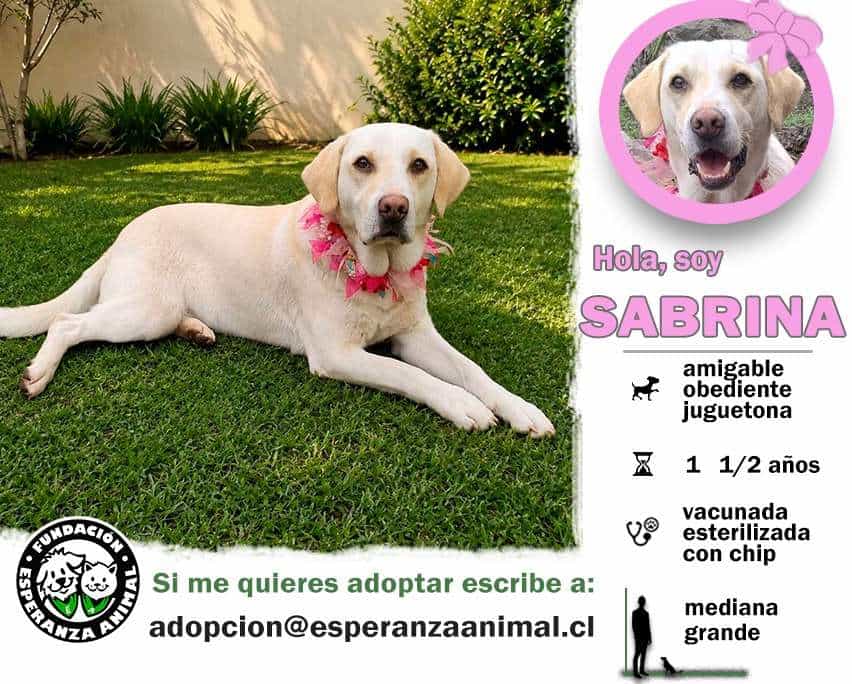 Foto de Sabrina