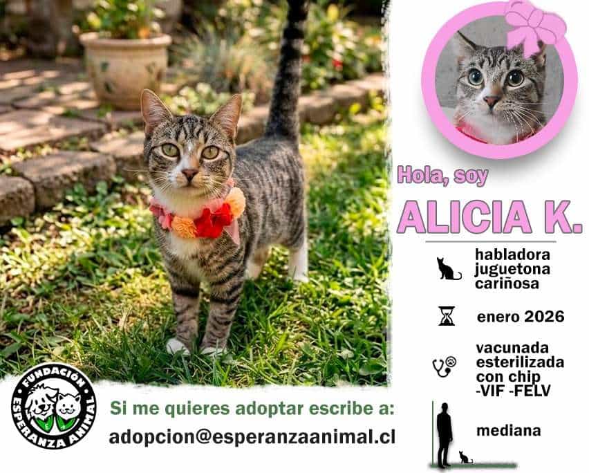Foto de Alicia K