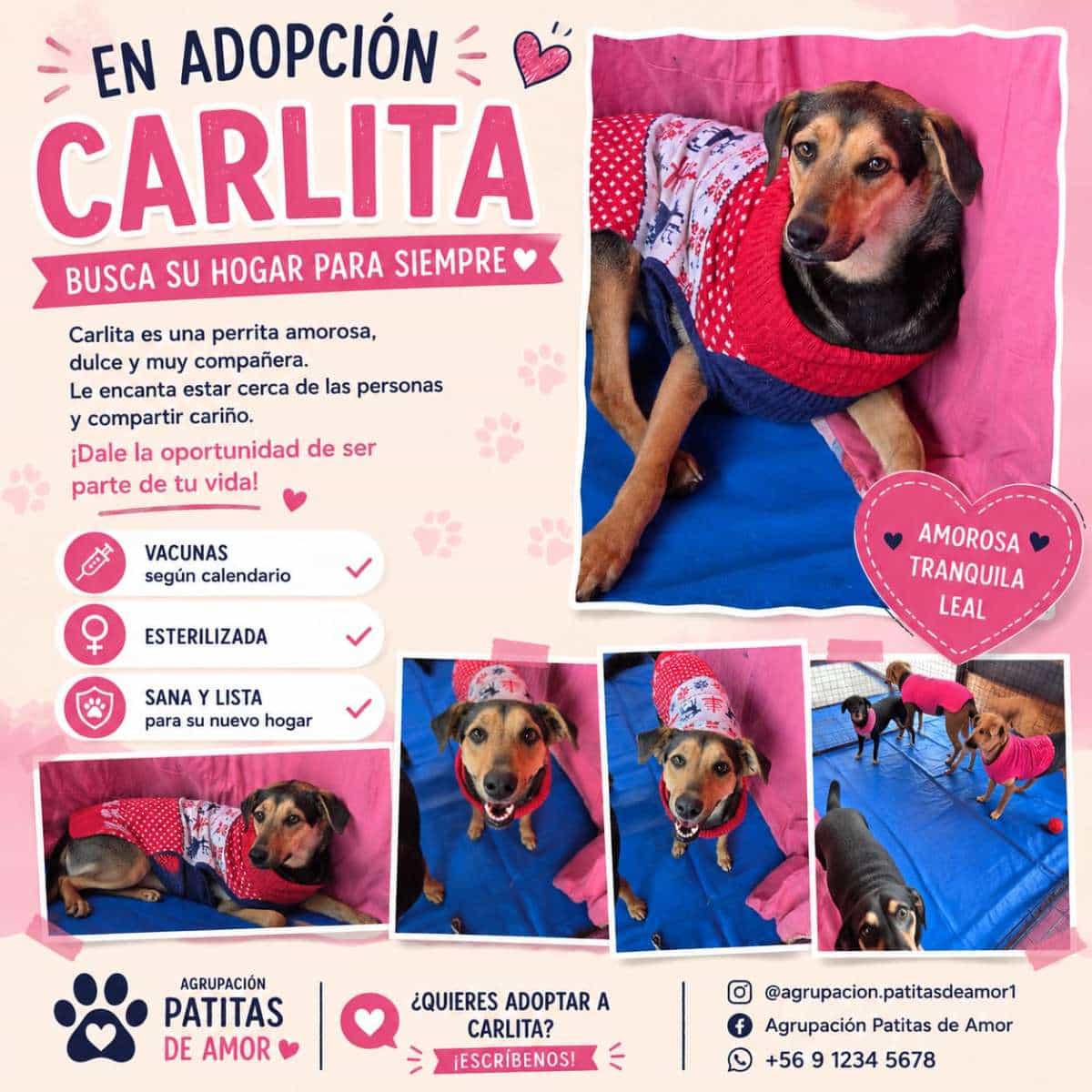 Foto de Carlita