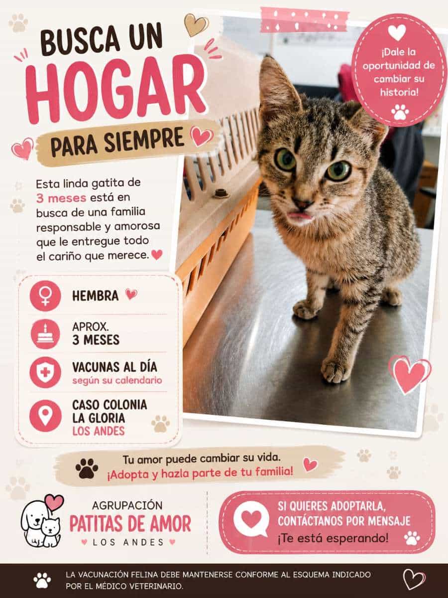 Foto de Haru
