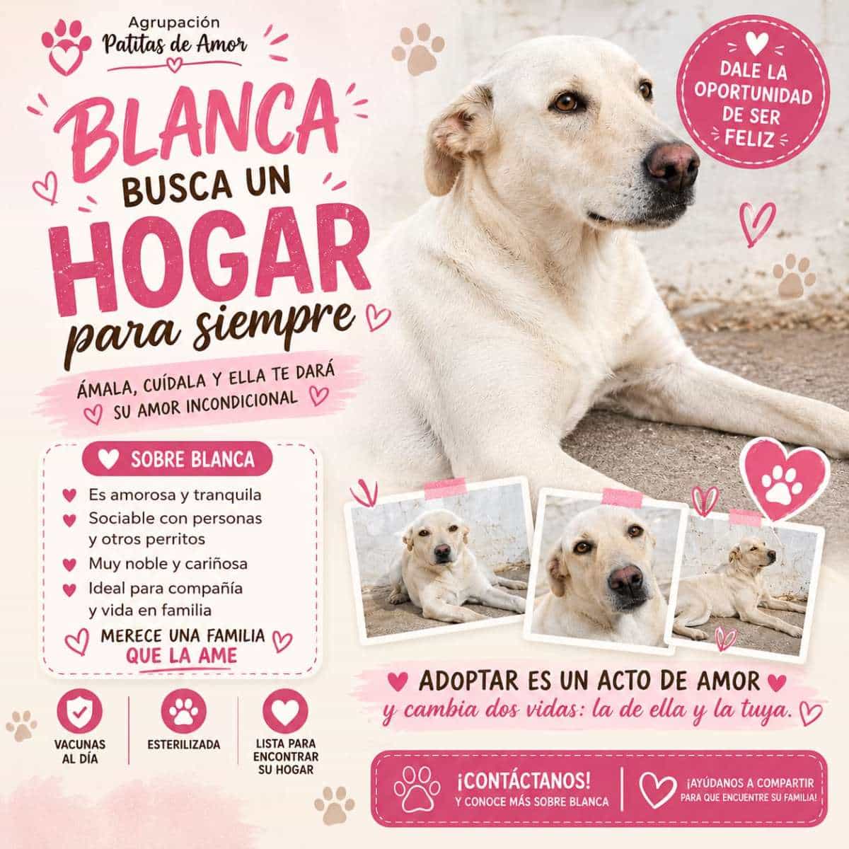 Foto de Blanca