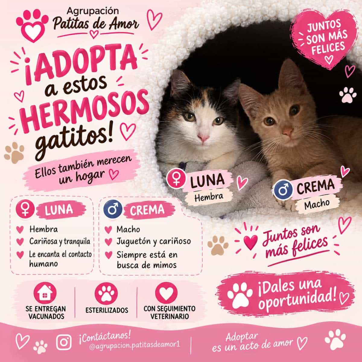 Foto de Luna y crema