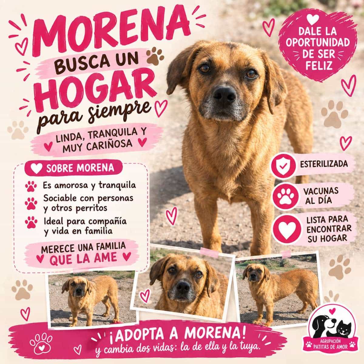 Foto de Morena