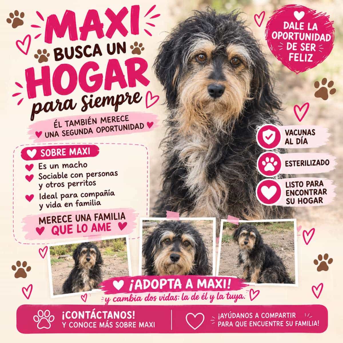 Foto de Max