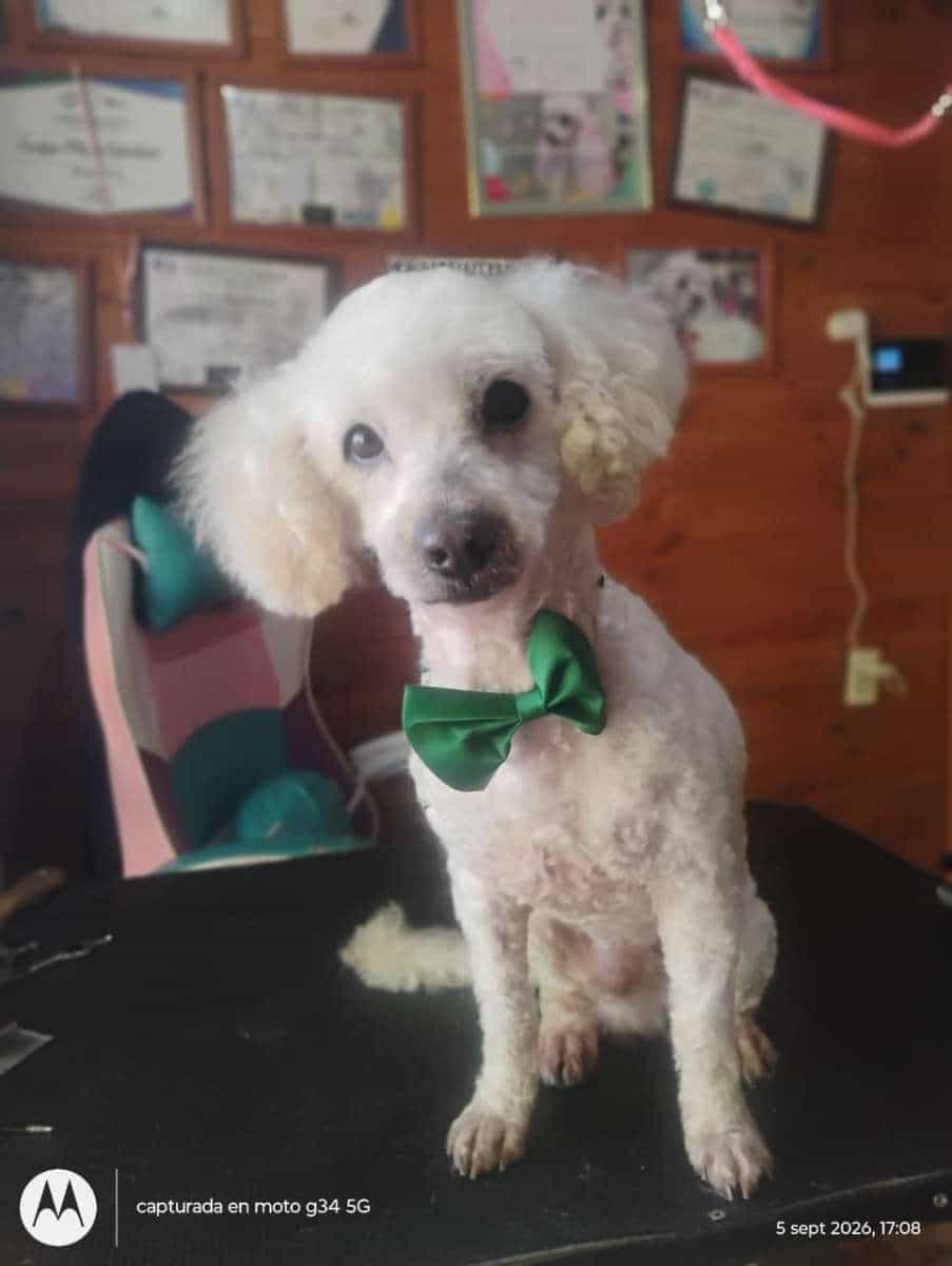 Foto de Martín