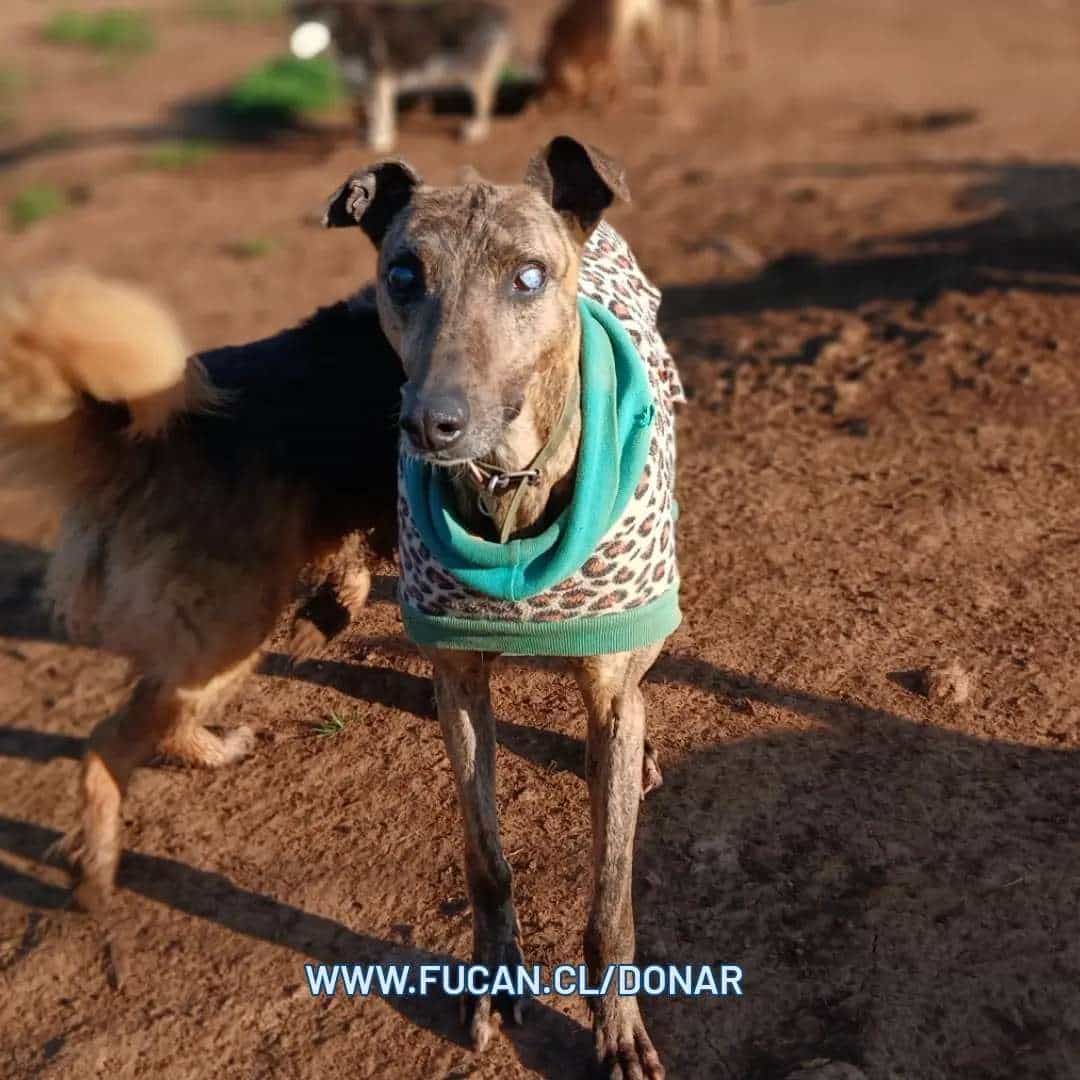 Foto de Noé