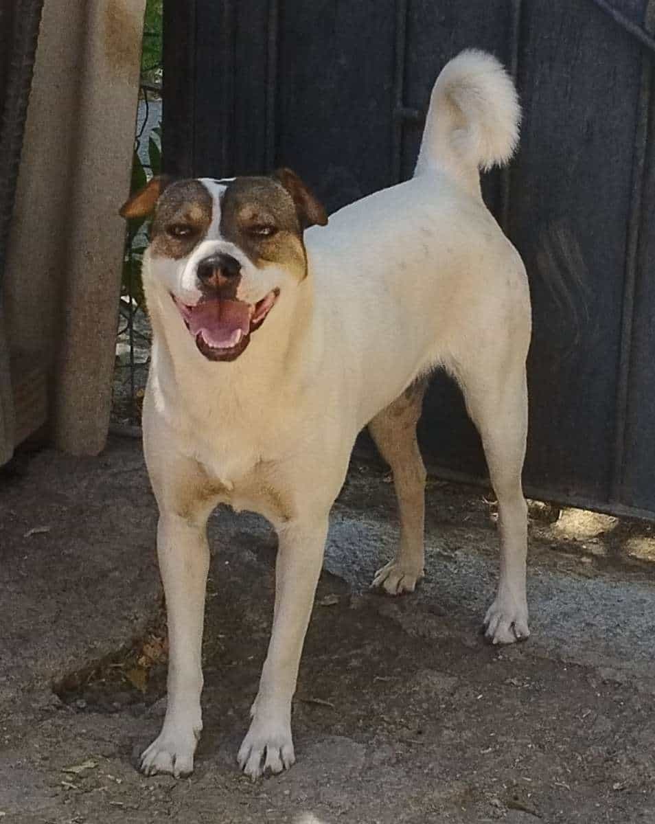 Foto de Luna