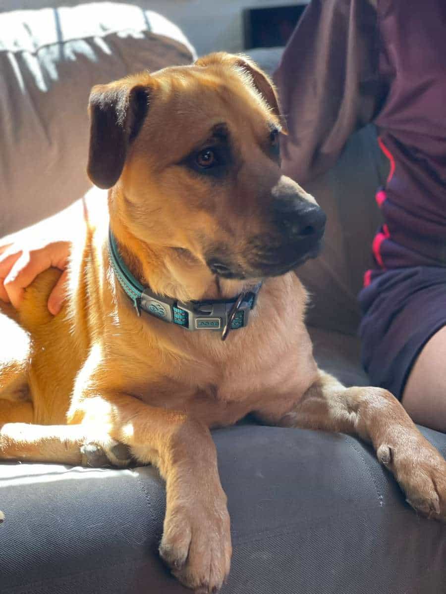 Foto de Leo