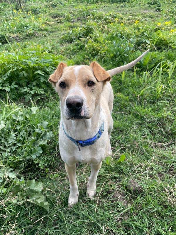 Foto de Aquiles