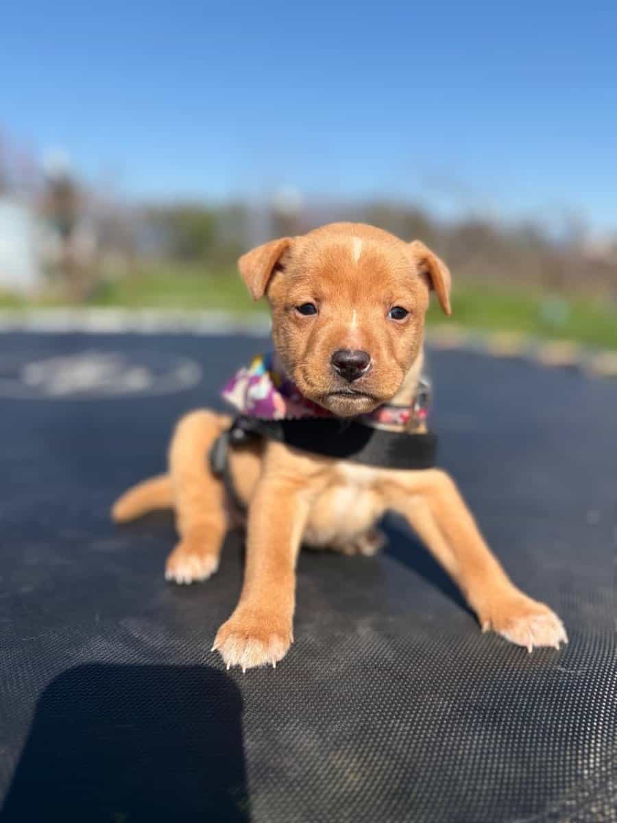 Foto de Annika