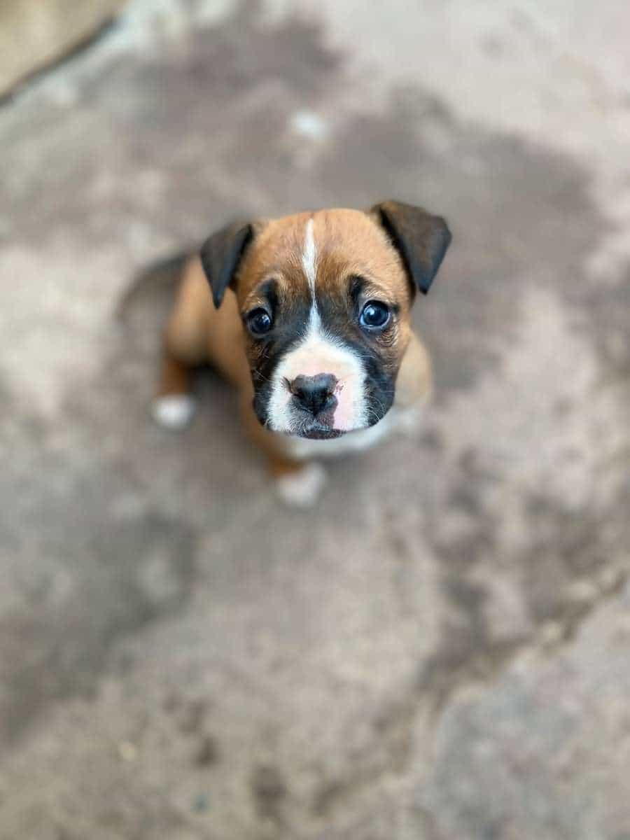 Foto de Ela