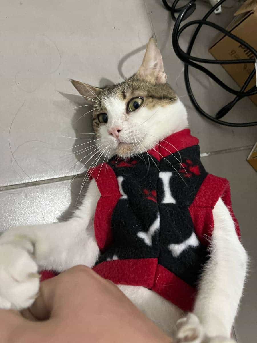 Foto de Julio