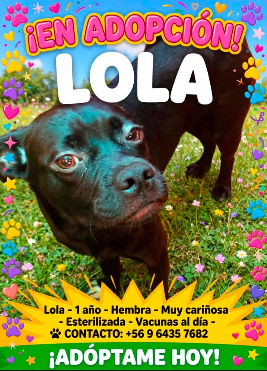 Foto de Lola