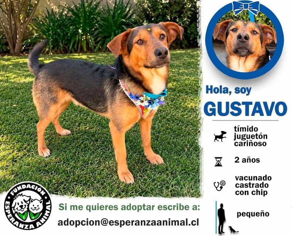 Foto de Gustavo