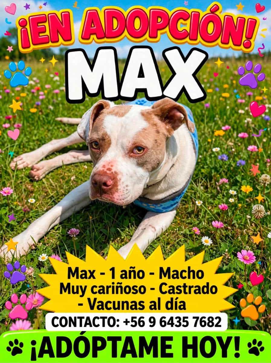 Foto de Max