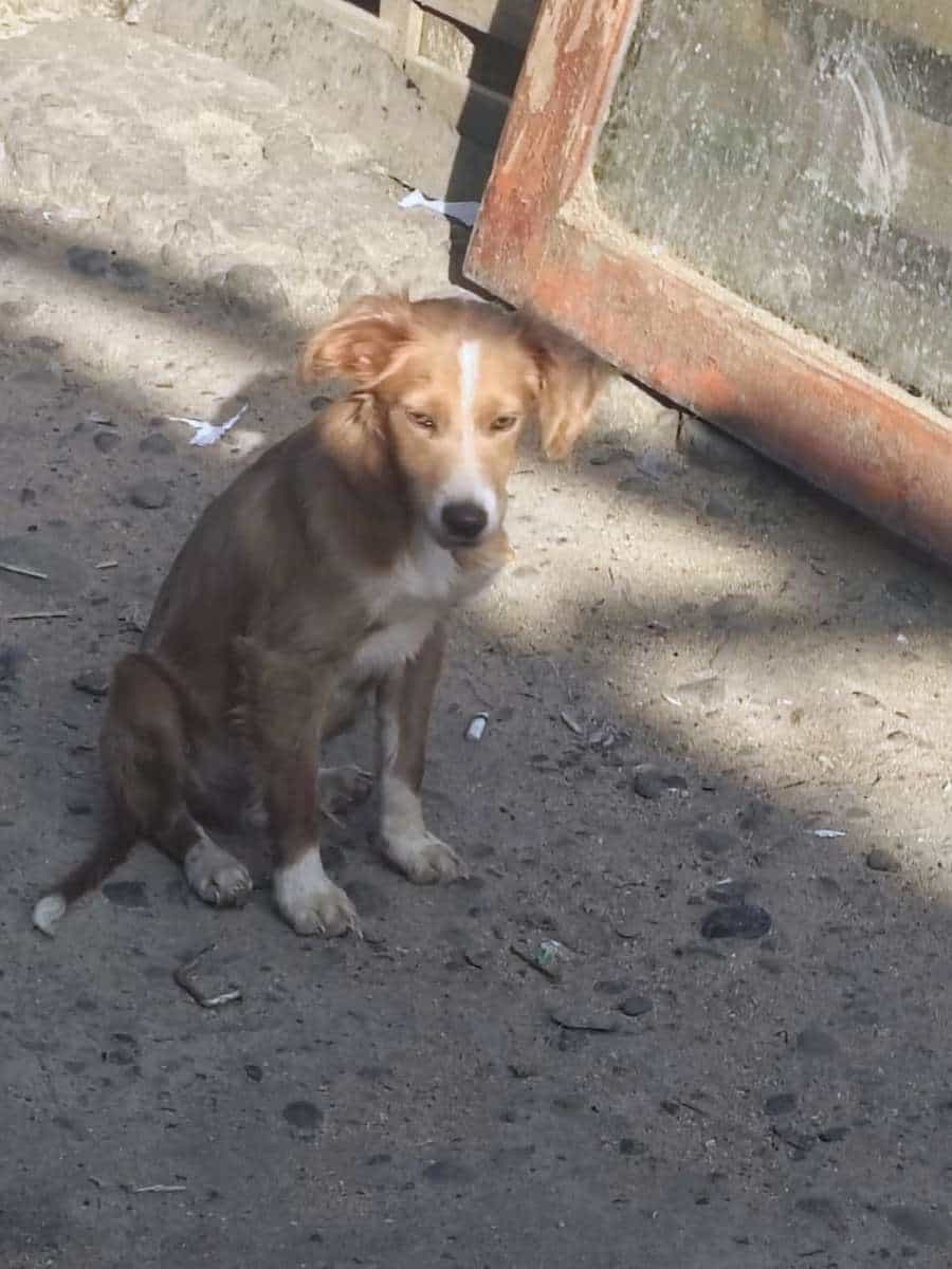 Foto de Bebe