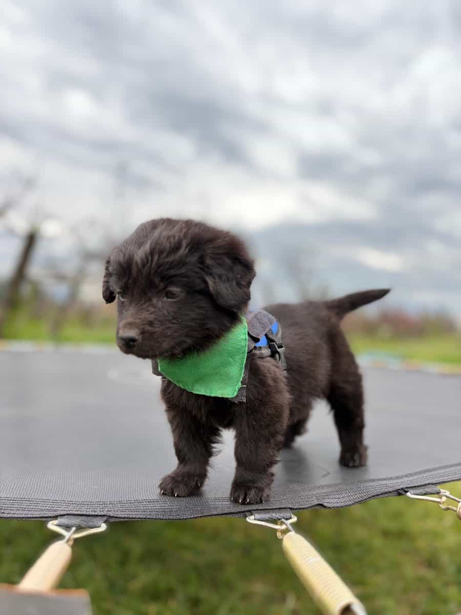 Foto de Yuki