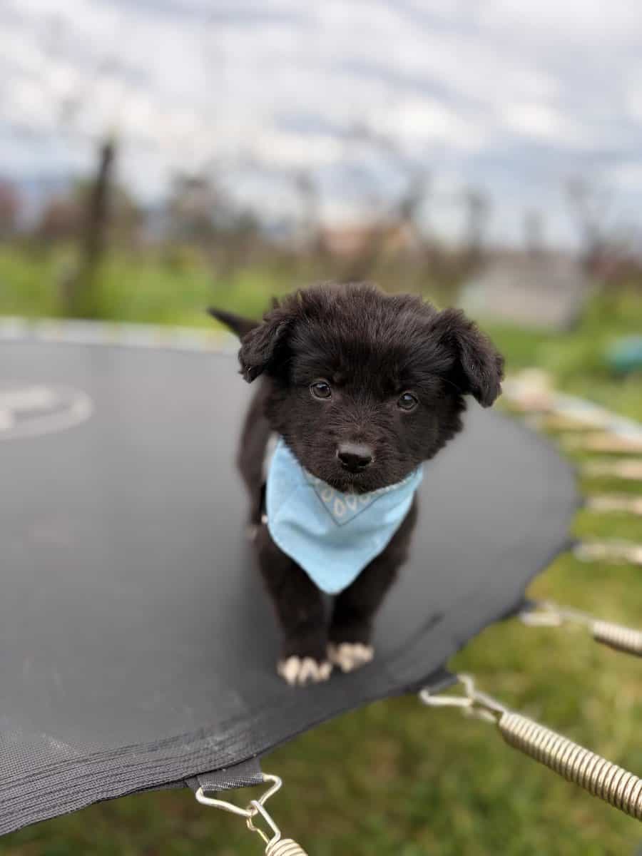 Foto de Churro