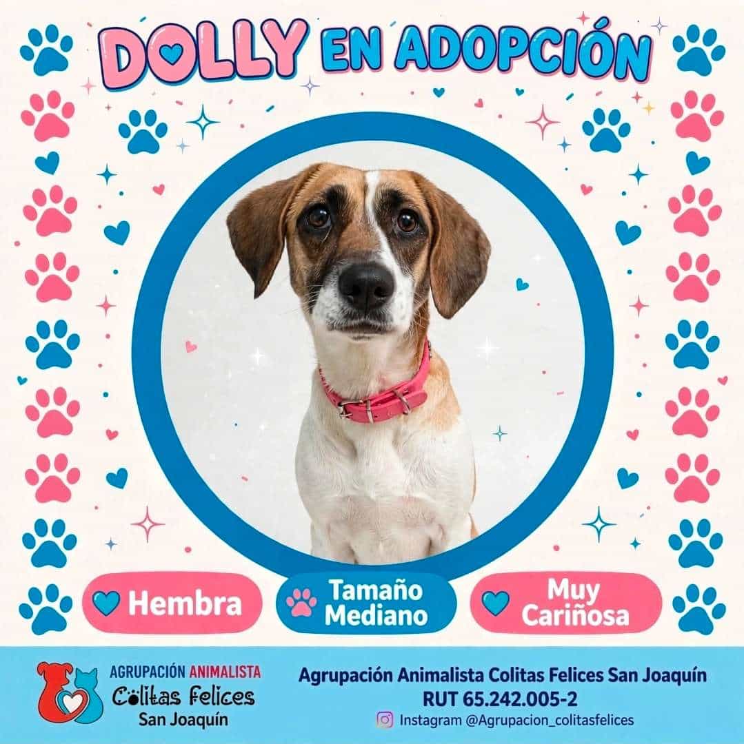 Foto de Dolly
