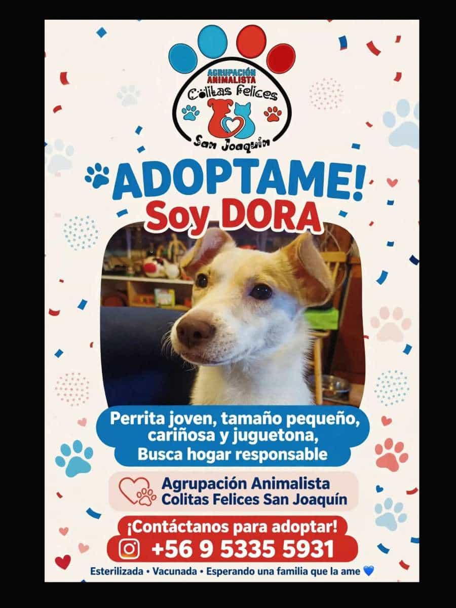 Foto de Dora