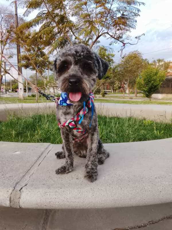 Foto de Ángel
