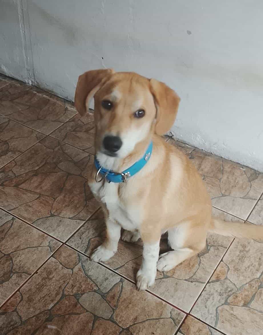 Foto de Simón