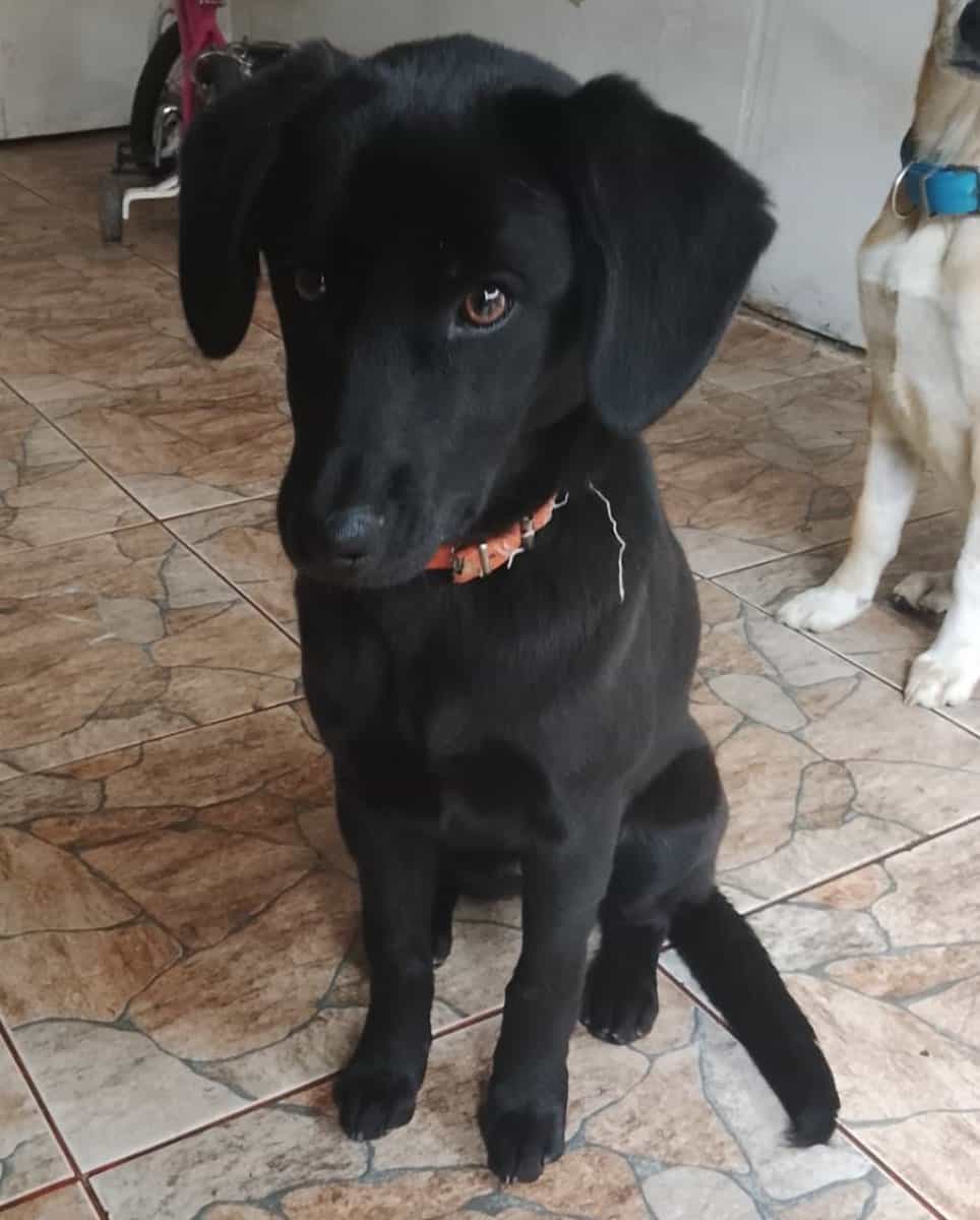 Foto de Mora
